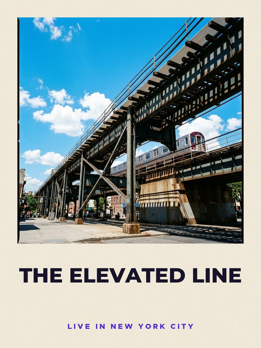Gig poster, signed by The Elevated Line