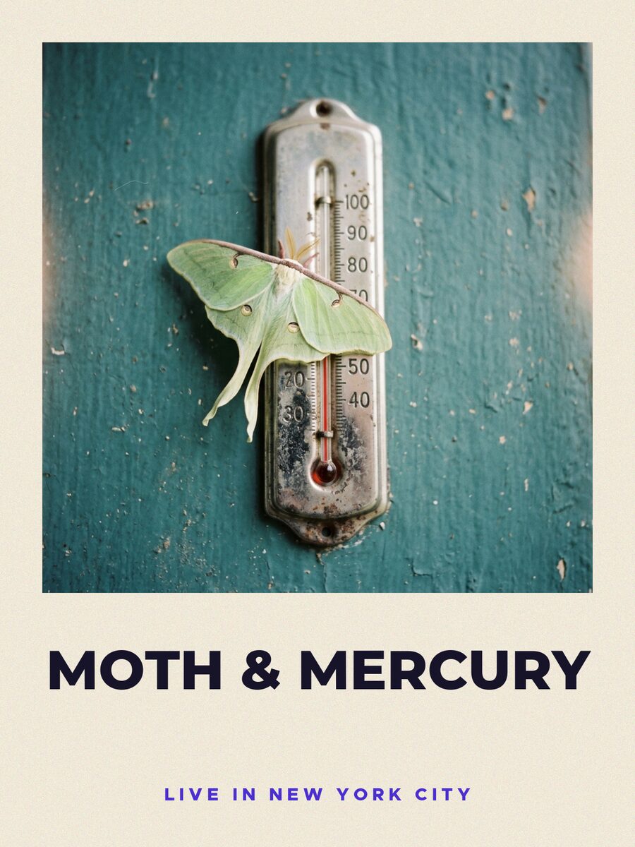 Gig poster, signed by Moth & Mercury