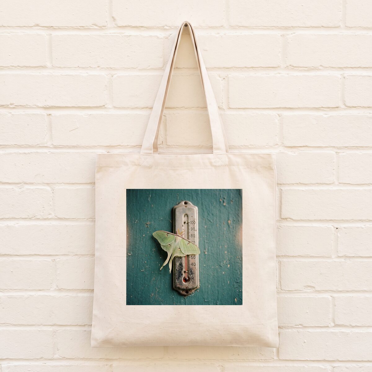 Fever Dream Weather tote by Moth & Mercury
